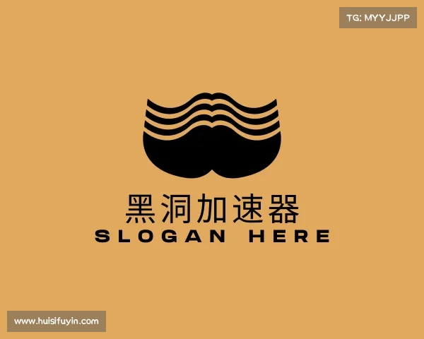 认识黑洞加速器